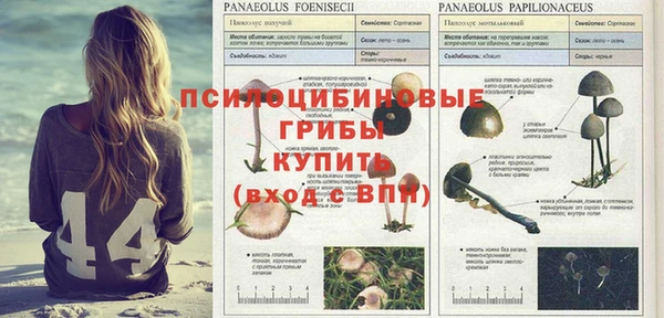 ГАЛЛЮЦИНОГЕННЫЕ ГРИБЫ Лагань