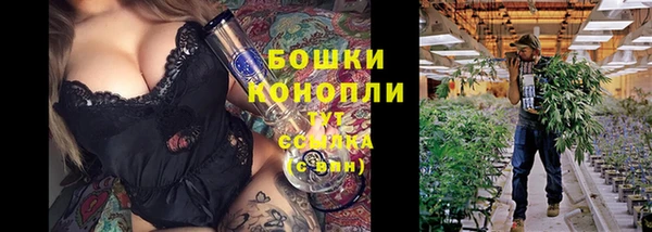 ГАЛЛЮЦИНОГЕННЫЕ ГРИБЫ Лагань