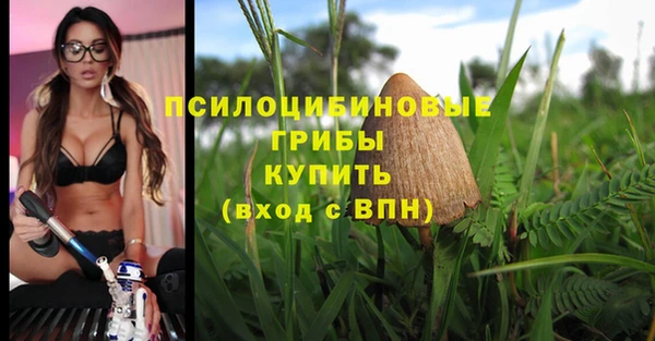 марки nbome Лабытнанги