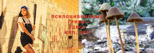 круглые Ладушкин