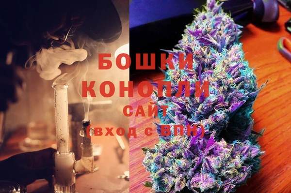 ГАЛЛЮЦИНОГЕННЫЕ ГРИБЫ Лагань
